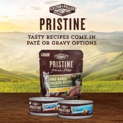 Castor & Pollux PRISTINE Grain-Free Free-Range Chicken Recipe Morsels In Gravy Cat Food Pouches -PurePet Bites Shop 141139 PT4. AC SS1800 V1702939091