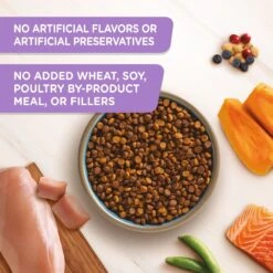 Rachael Ray Nutrish Longevity Natural Chicken With Chickpeas & Salmon Recipe Dry Cat Food -PurePet Bites Shop 141825 PT3. AC SS1800 V1691703374