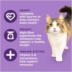 Rachael Ray Nutrish Longevity Natural Chicken With Chickpeas & Salmon Recipe Dry Cat Food -PurePet Bites Shop 141825 PT4. AC SS1800 V1691768641