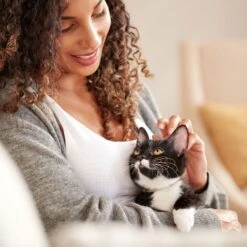 Rachael Ray Nutrish Longevity Natural Chicken With Chickpeas & Salmon Recipe Dry Cat Food -PurePet Bites Shop 141825 PT5. AC SS1800 V1691761239