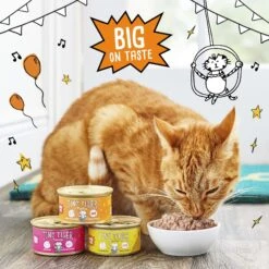 Tiny Tiger Pate Beef Recipe Grain-Free Canned Cat Food -PurePet Bites Shop 141875 PT4. AC SS1800 V1671733249
