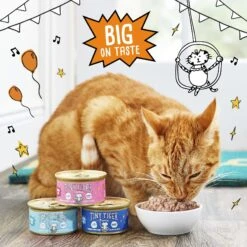 Tiny Tiger Pate Whitefish & Tuna Recipe Grain-Free Canned Cat Food 15 Tiny Tiger Pate Whitefish & Tuna Recipe Grain-Free Canned Cat Food -PurePet Bites Shop 141883 PT4. AC SS1800 V1687286231