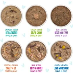 BFF OMG Rainbow Road Variety Pack Grain-Free Canned Cat Food -PurePet Bites Shop 142309 PT3. AC SS1800 V1646848013