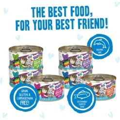 BFF OMG Rainbow Road Variety Pack Grain-Free Canned Cat Food -PurePet Bites Shop 142309 PT4. AC SS1800 V1646854352