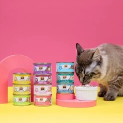 Weruva Paw Lickin' Pals Variety Pack Grain-Free Canned Cat Food -PurePet Bites Shop 142314 PT7. AC SS1800 V1643065889