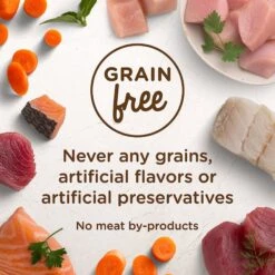 Rachael Ray Nutrish Purrfect Entrees Grain-Free Fin-Tastic Primavera With Yellowfin Tuna & Veggies In Savory Sauce Wet Cat Food -PurePet Bites Shop 142431 PT4. AC SS1800 V1535637164