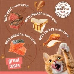 Friskies Extra Gravy Chunky Variety Pack Canned Cat Food -PurePet Bites Shop 142573 PT2. AC SS1800 V1699371079