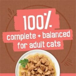 Friskies Extra Gravy Chunky Variety Pack Canned Cat Food -PurePet Bites Shop 142573 PT3. AC SS1800 V1700158393
