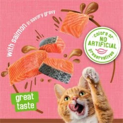 Friskies Extra Gravy Pate With Salmon In Savory Gravy Canned Cat Food -PurePet Bites Shop 142577 PT3. AC SS1800 V1700160884