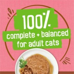 Friskies Extra Gravy Pate With Salmon In Savory Gravy Canned Cat Food -PurePet Bites Shop 142577 PT5. AC SS1800 V1700157267