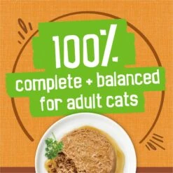 Friskies Extra Gravy Pate With Chicken In Savory Gravy Canned Cat Food -PurePet Bites Shop 142579 PT5. AC SS1800 V1699369727