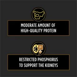 Purina Pro Plan Veterinary Diets NF Kidney Function Early Care Dry Cat Food 14 Purina Pro Plan Veterinary Diets NF Kidney Function Early Care Dry Cat Food -PurePet Bites Shop 142661 PT3. AC SS1800 V1700158247