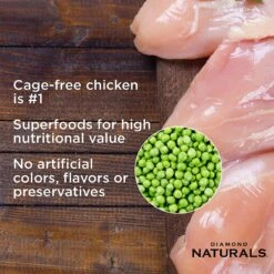 Diamond Naturals Chicken Dinner Adult & Kitten Canned Cat Food -PurePet Bites Shop 143232 PT3. AC SS1800 V1520030896