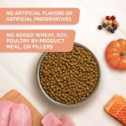Rachael Ray Nutrish Inner Health Turkey With Chickpeas & Salmon Recipe Dry Cat Food -PurePet Bites Shop 143701 PT2. AC SS1800 V1692391566