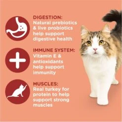 Rachael Ray Nutrish Inner Health Turkey With Chickpeas & Salmon Recipe Dry Cat Food -PurePet Bites Shop 143701 PT3. AC SS1800 V1692393339