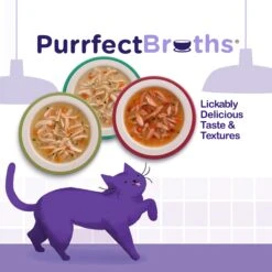 Rachael Ray Nutrish Purrfect Broths All Natural Grain-Free Variety Pack Cat Food Topper -PurePet Bites Shop 143738 PT5. AC SS1800 V1657655546