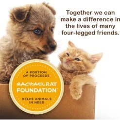 Rachael Ray Nutrish Purrfect Broths All Natural Grain-Free Variety Pack Cat Food Topper -PurePet Bites Shop 143738 PT6. AC SS1800 V1657655546