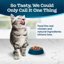 Blue Buffalo Tastefuls Natural Chicken Dry Kitten Food -PurePet Bites Shop 144079 PT2. AC SS1800 V1692644844