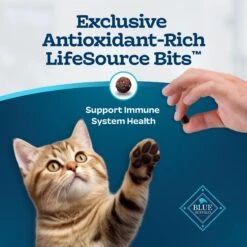 Blue Buffalo Tastefuls Natural Chicken Dry Kitten Food -PurePet Bites Shop 144079 PT6. AC SS1800 V1692646331