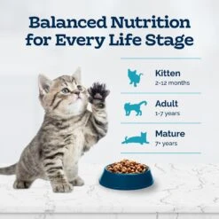 Blue Buffalo Tastefuls Natural Chicken Dry Kitten Food -PurePet Bites Shop 144079 PT7. AC SS1800 V1692642810