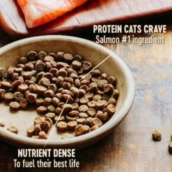 Wellness CORE Grain-Free Indoor Salmon & Herring Meal Recipe Dry Cat Food -PurePet Bites Shop 145511 PT2. AC SS1800 V1636554425