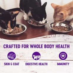 Wellness Healthy Indulgence Gravies Grain-Free Variety Pack Cat Food Pouches 12 Wellness Healthy Indulgence Gravies Grain-Free Variety Pack Cat Food Pouches -PurePet Bites Shop 145533 PT2. AC SS1800 V1621984366