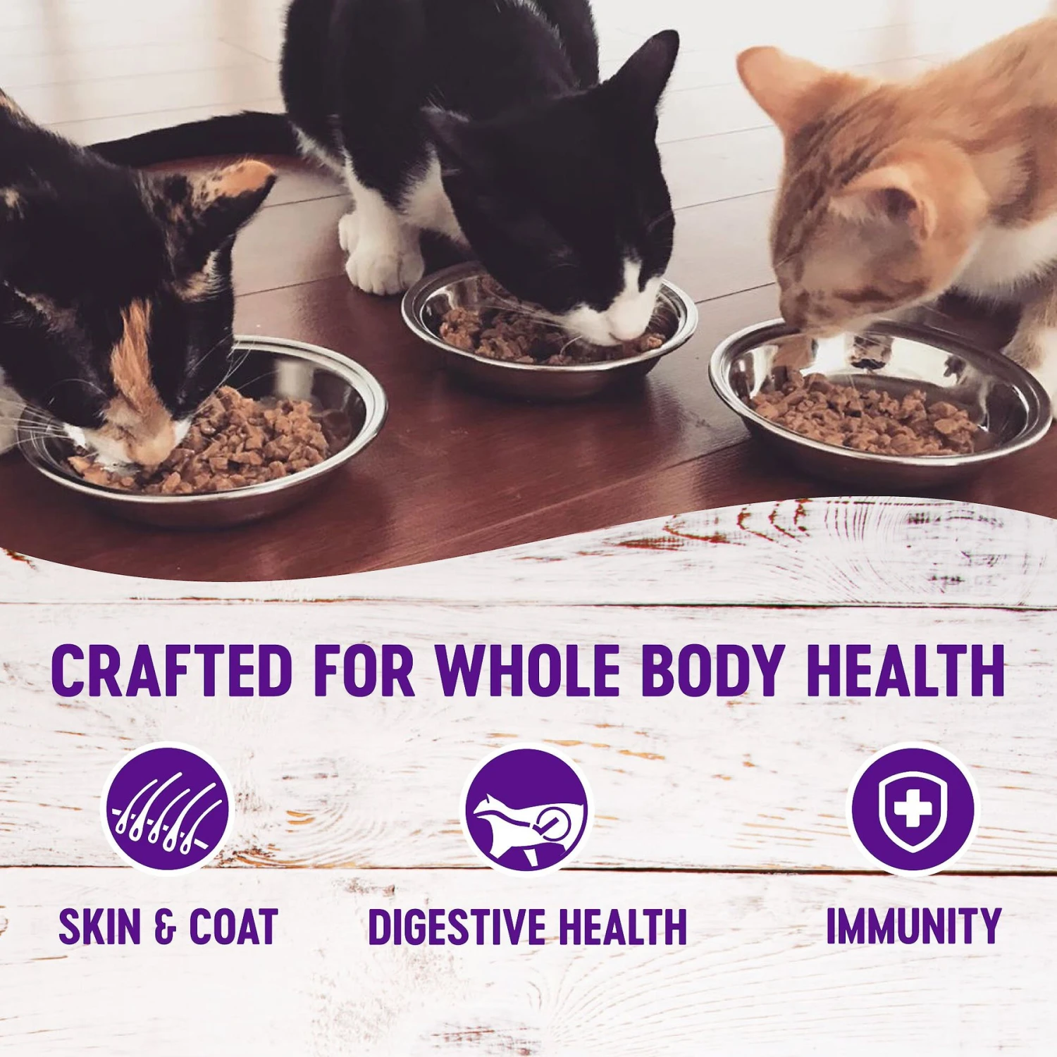 Wellness Healthy Indulgence Gravies Grain-Free Variety Pack Cat Food Pouches 5 Wellness Healthy Indulgence Gravies Grain-Free Variety Pack Cat Food Pouches - Image 3