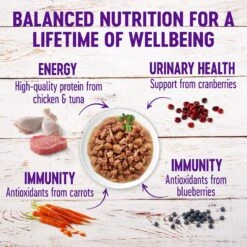 Wellness Healthy Indulgence Gravies Grain-Free Variety Pack Cat Food Pouches 13 Wellness Healthy Indulgence Gravies Grain-Free Variety Pack Cat Food Pouches -PurePet Bites Shop 145533 PT3. AC SS1800 V1621989505