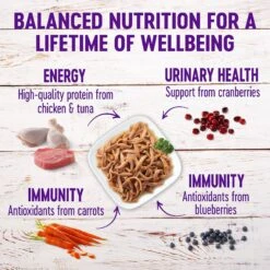 Wellness Healthy Indulgence Shreds Grain-Free Variety Pack Cat Food Pouches -PurePet Bites Shop 145535 PT3. AC SS1800 V1621985923