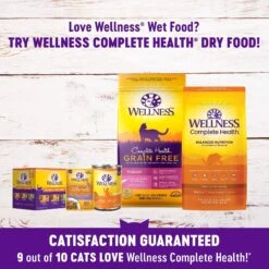 Wellness Healthy Indulgence Shreds Grain-Free Variety Pack Cat Food Pouches -PurePet Bites Shop 145535 PT4. AC SS1800 V1621982612
