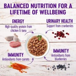 Wellness Healthy Indulgence Morsels Grain-Free Variety Pack Cat Food Pouches -PurePet Bites Shop 145537 PT3. AC SS1800 V1621986812