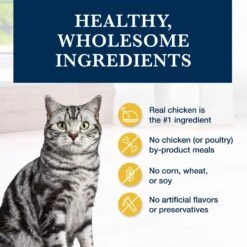 Blue Buffalo Natural Veterinary Diet K+M Kidney + Mobility Support Grain-Free Dry Cat Food -PurePet Bites Shop 147676 PT5. AC SS1800 V1703091265