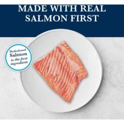 Blue Buffalo Natural Veterinary Diet HF Hydrolyzed For Food Intolerance Grain-Free Dry Cat Food -PurePet Bites Shop 147680 PT3. AC SS1800 V1703091327