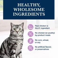 Blue Buffalo Natural Veterinary Diet W+U Weight Management + Urinary Care Grain-Free Dry Cat Food -PurePet Bites Shop 147682 PT5. AC SS1800 V1703091386