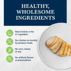 Blue Buffalo Natural Veterinary Diet GI Gastrointestinal Support Grain-Free Wet Cat Food 12 Blue Buffalo Natural Veterinary Diet GI Gastrointestinal Support Grain-Free Wet Cat Food -PurePet Bites Shop 147686 PT2. AC SS1800 V1695132220