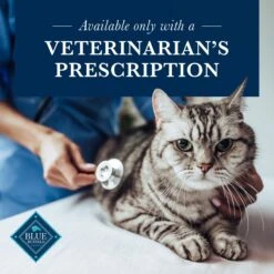 Blue Buffalo Natural Veterinary Diet GI Gastrointestinal Support Grain-Free Wet Cat Food 15 Blue Buffalo Natural Veterinary Diet GI Gastrointestinal Support Grain-Free Wet Cat Food -PurePet Bites Shop 147686 PT5. AC SS1800 V1695083987