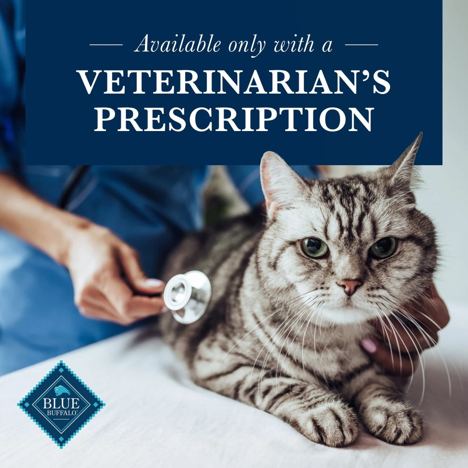 Blue Buffalo Natural Veterinary Diet GI Gastrointestinal Support Grain-Free Wet Cat Food 8 Blue Buffalo Natural Veterinary Diet GI Gastrointestinal Support Grain-Free Wet Cat Food - Image 6