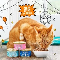 Tiny Tiger Chunks In EXTRA Gravy Tuna Recipe Grain-Free Canned Cat Food -PurePet Bites Shop 147770 PT4. AC SS1800 V1683730238