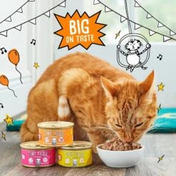 Tiny Tiger Chunks In EXTRA Gravy Chicken Recipe Grain-Free Canned Cat Food -PurePet Bites Shop 147780 PT4. AC SS1800 V1687284409