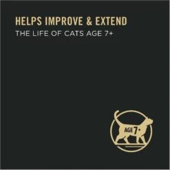 Purina Pro Plan Prime Plus 7+ Classic Chicken Grain-Free Entree Canned Cat Food 13 Purina Pro Plan Prime Plus 7+ Classic Chicken Grain-Free Entree Canned Cat Food -PurePet Bites Shop 147948 PT3. AC SS1800 V1636670186