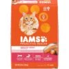 Iams ProActive Health Salmon Recipe Adult Dry Cat Food 1 Iams ProActive Health Salmon Recipe Adult Dry Cat Food -PurePet Bites Shop 148007 MAIN. AC SS1800 V1609979260