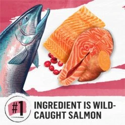Purina Beyond Simply Indoor Wild-Caught Salmon, Egg & Sweet Potato Recipe Grain-Free Dry Cat Food 14 Purina Beyond Simply Indoor Wild-Caught Salmon, Egg & Sweet Potato Recipe Grain-Free Dry Cat Food -PurePet Bites Shop 148008 PT3. AC SS1800 V1700158453