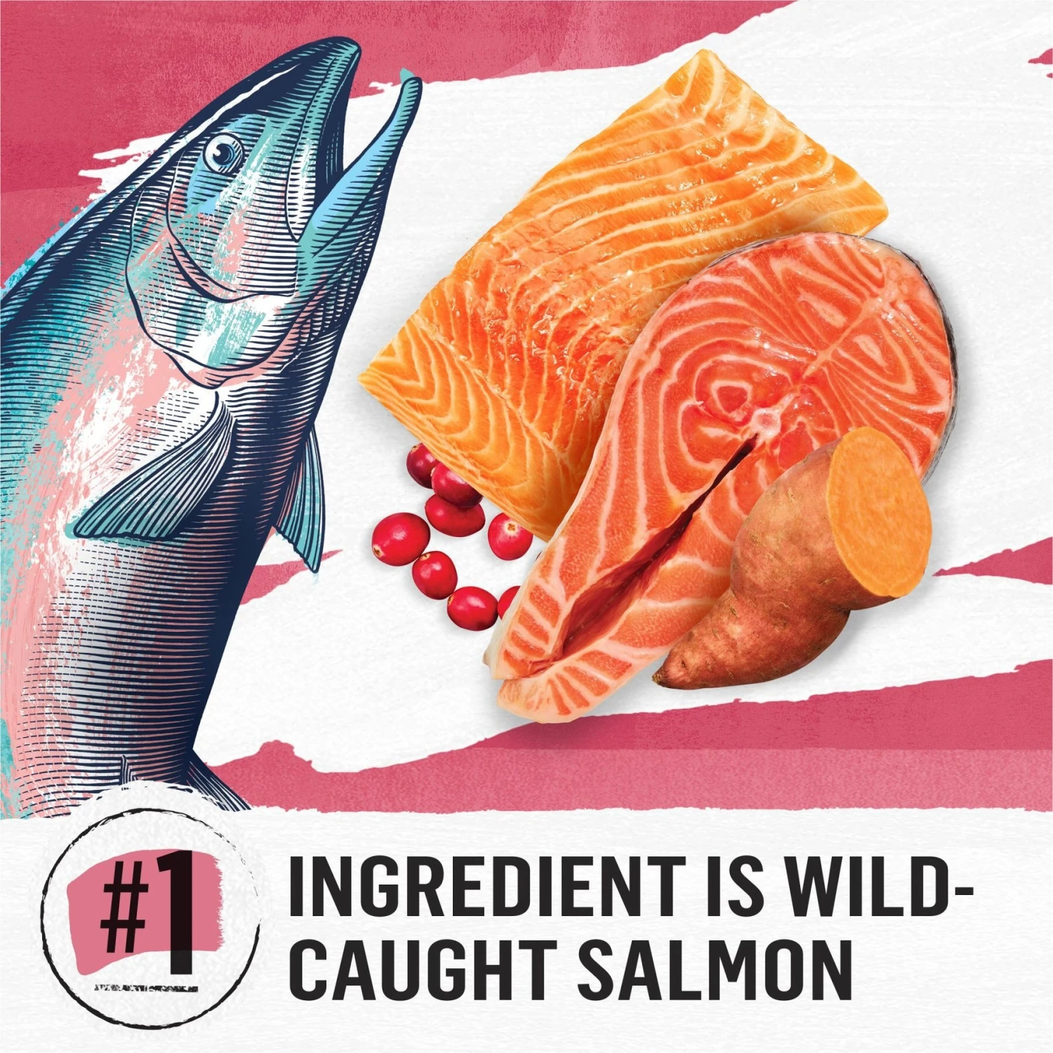 Purina Beyond Simply Indoor Wild-Caught Salmon, Egg & Sweet Potato Recipe Grain-Free Dry Cat Food 6 Purina Beyond Simply Indoor Wild-Caught Salmon, Egg & Sweet Potato Recipe Grain-Free Dry Cat Food - Image 4