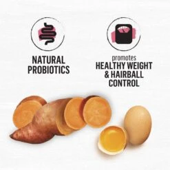 Purina Beyond Simply Indoor Wild-Caught Salmon, Egg & Sweet Potato Recipe Grain-Free Dry Cat Food 15 Purina Beyond Simply Indoor Wild-Caught Salmon, Egg & Sweet Potato Recipe Grain-Free Dry Cat Food -PurePet Bites Shop 148008 PT4. AC SS1800 V1700159218