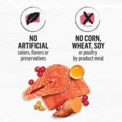 Purina Beyond Simply Indoor Wild-Caught Salmon, Egg & Sweet Potato Recipe Grain-Free Dry Cat Food 19 Purina Beyond Simply Indoor Wild-Caught Salmon, Egg & Sweet Potato Recipe Grain-Free Dry Cat Food -PurePet Bites Shop 148008 PT8. AC SS1800 V1700159662