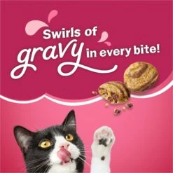 Friskies Gravy Swirlers Chicken & Salmon Flavor Dry Cat Food -PurePet Bites Shop 148060 PT3. AC SS1800 V1700156231