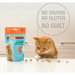 Feline Natural Lamb Healthy Bites Grain-Free Freeze-Dried Cat Treats, 1.76-oz Bag -PurePet Bites Shop 149474 PT4. AC SS1800 V1693244698