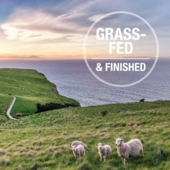 Feline Natural Lamb Healthy Bites Grain-Free Freeze-Dried Cat Treats, 1.76-oz Bag -PurePet Bites Shop 149474 PT7. AC SS1800 V1693235986