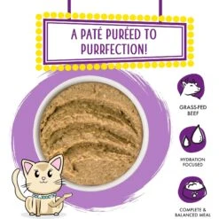 Weruva Slide N' Serve The Newly Feds Beef & Salmon Dinner Pate Grain-Free Cat Food Pouches -PurePet Bites Shop 149537 PT2. AC SS1800 V1674073819