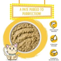 Weruva Slide N' Serve The Slice Is Right Wild Caught Salmon Dinner Pate Grain-Free Cat Food Pouches -PurePet Bites Shop 149542 PT2. AC SS1800 V1674162022